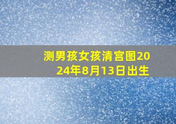 测男孩女孩清宫图2024年8月13日出生