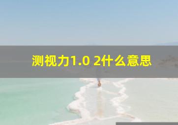 测视力1.0+2什么意思