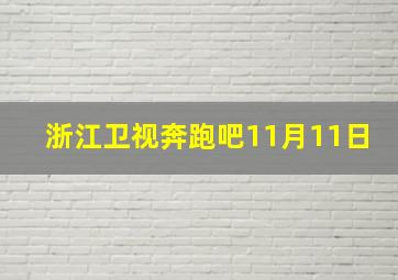 浙江卫视奔跑吧11月11日