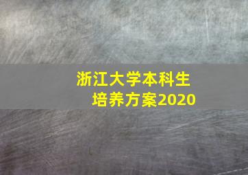 浙江大学本科生培养方案2020