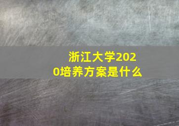 浙江大学2020培养方案是什么