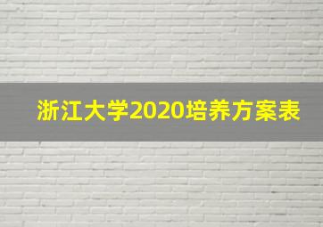 浙江大学2020培养方案表