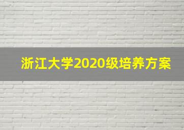 浙江大学2020级培养方案