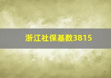 浙江社保基数3815