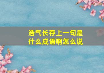 浩气长存上一句是什么成语啊怎么说