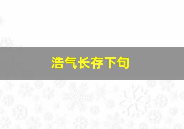 浩气长存下句