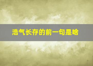 浩气长存的前一句是啥