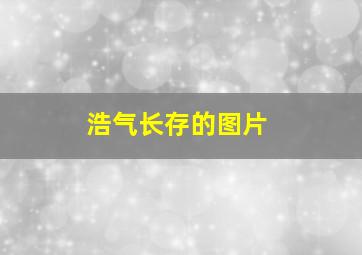 浩气长存的图片