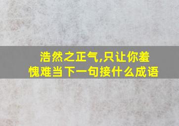 浩然之正气,只让你羞愧难当下一句接什么成语