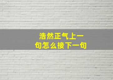 浩然正气上一句怎么接下一句