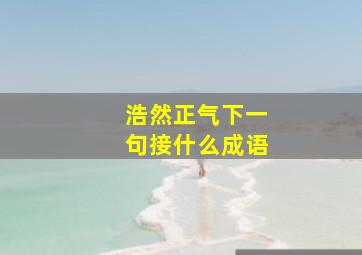 浩然正气下一句接什么成语