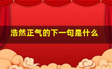 浩然正气的下一句是什么