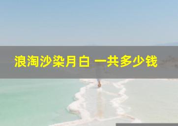 浪淘沙染月白 一共多少钱