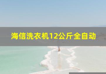 海信洗衣机12公斤全自动