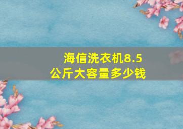 海信洗衣机8.5公斤大容量多少钱