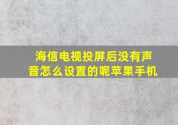 海信电视投屏后没有声音怎么设置的呢苹果手机