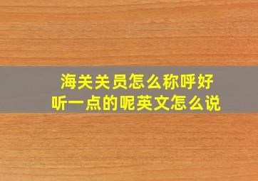 海关关员怎么称呼好听一点的呢英文怎么说