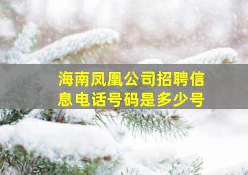 海南凤凰公司招聘信息电话号码是多少号