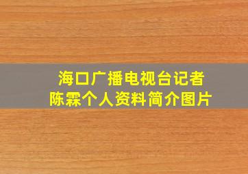 海口广播电视台记者陈霖个人资料简介图片