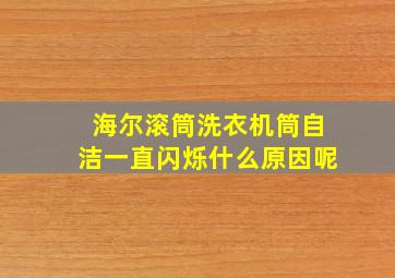 海尔滚筒洗衣机筒自洁一直闪烁什么原因呢