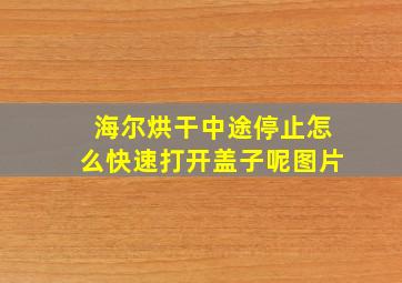 海尔烘干中途停止怎么快速打开盖子呢图片