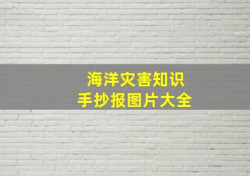 海洋灾害知识手抄报图片大全