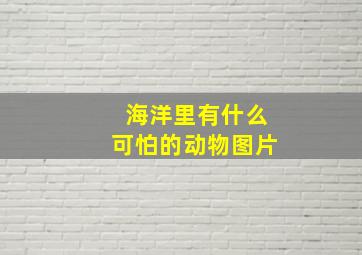 海洋里有什么可怕的动物图片