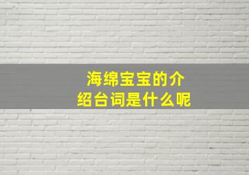 海绵宝宝的介绍台词是什么呢