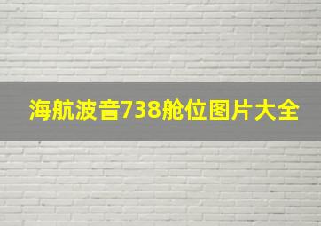 海航波音738舱位图片大全