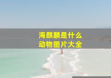 海麒麟是什么动物图片大全