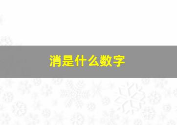 消是什么数字