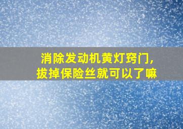 消除发动机黄灯窍门,拔掉保险丝就可以了嘛