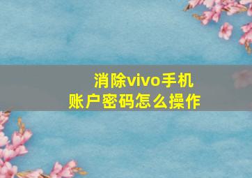 消除vivo手机账户密码怎么操作