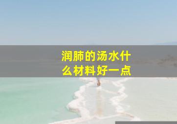 润肺的汤水什么材料好一点