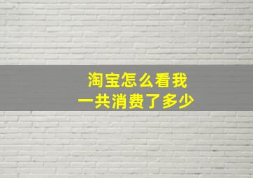 淘宝怎么看我一共消费了多少