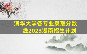 清华大学各专业录取分数线2023湖南招生计划