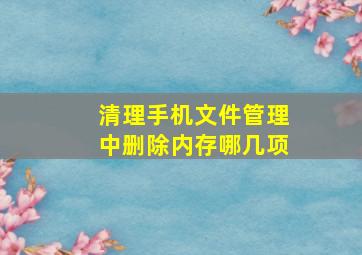 清理手机文件管理中删除内存哪几项