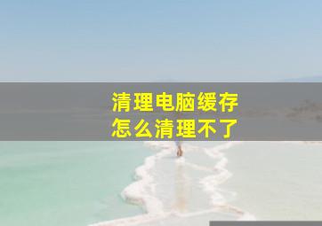 清理电脑缓存怎么清理不了