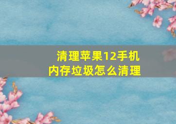 清理苹果12手机内存垃圾怎么清理