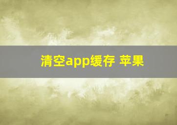 清空app缓存 苹果