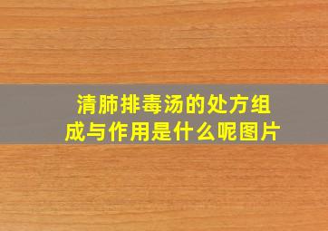 清肺排毒汤的处方组成与作用是什么呢图片