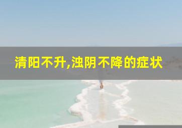 清阳不升,浊阴不降的症状