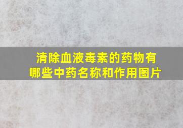 清除血液毒素的药物有哪些中药名称和作用图片