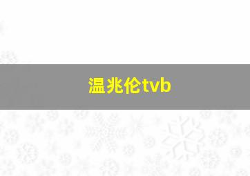 温兆伦tvb