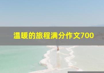 温暖的旅程满分作文700