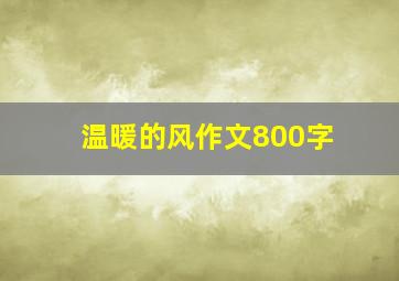 温暖的风作文800字