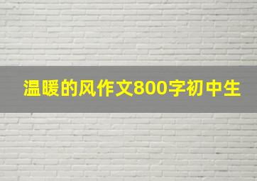 温暖的风作文800字初中生