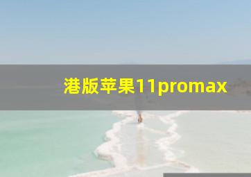 港版苹果11promax