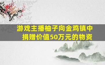 游戏主播柚子向金鸡镇中捐赠价值50万元的物资