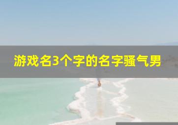 游戏名3个字的名字骚气男